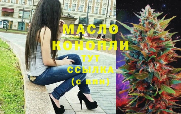 молекула духа Вяземский