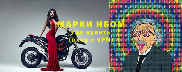 молекула духа Вяземский